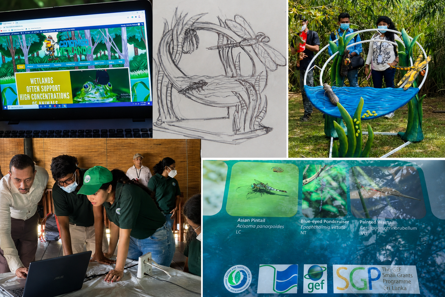 Sanali Jayalath's original dragonfly wetland installation sketch shown alongside the completed display at Diyasaru Wetland Park, the Colombo Wetlands website, and biodiversity awareness boards