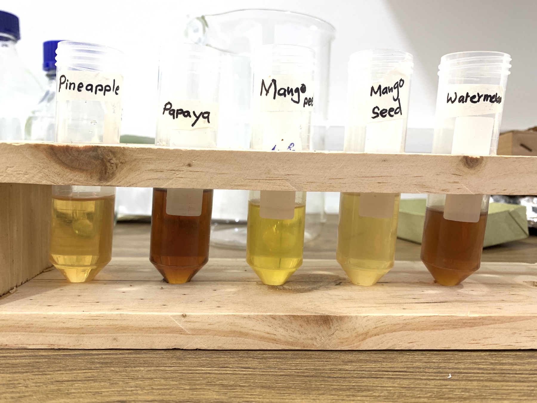 Prepared pineapple, papaya, mango, and watermelon feedstock samples