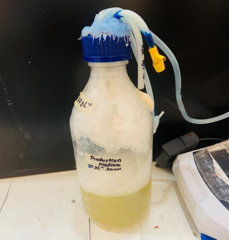 Laboratory fermenter designed and assembled by Sanali for microbial PHA research